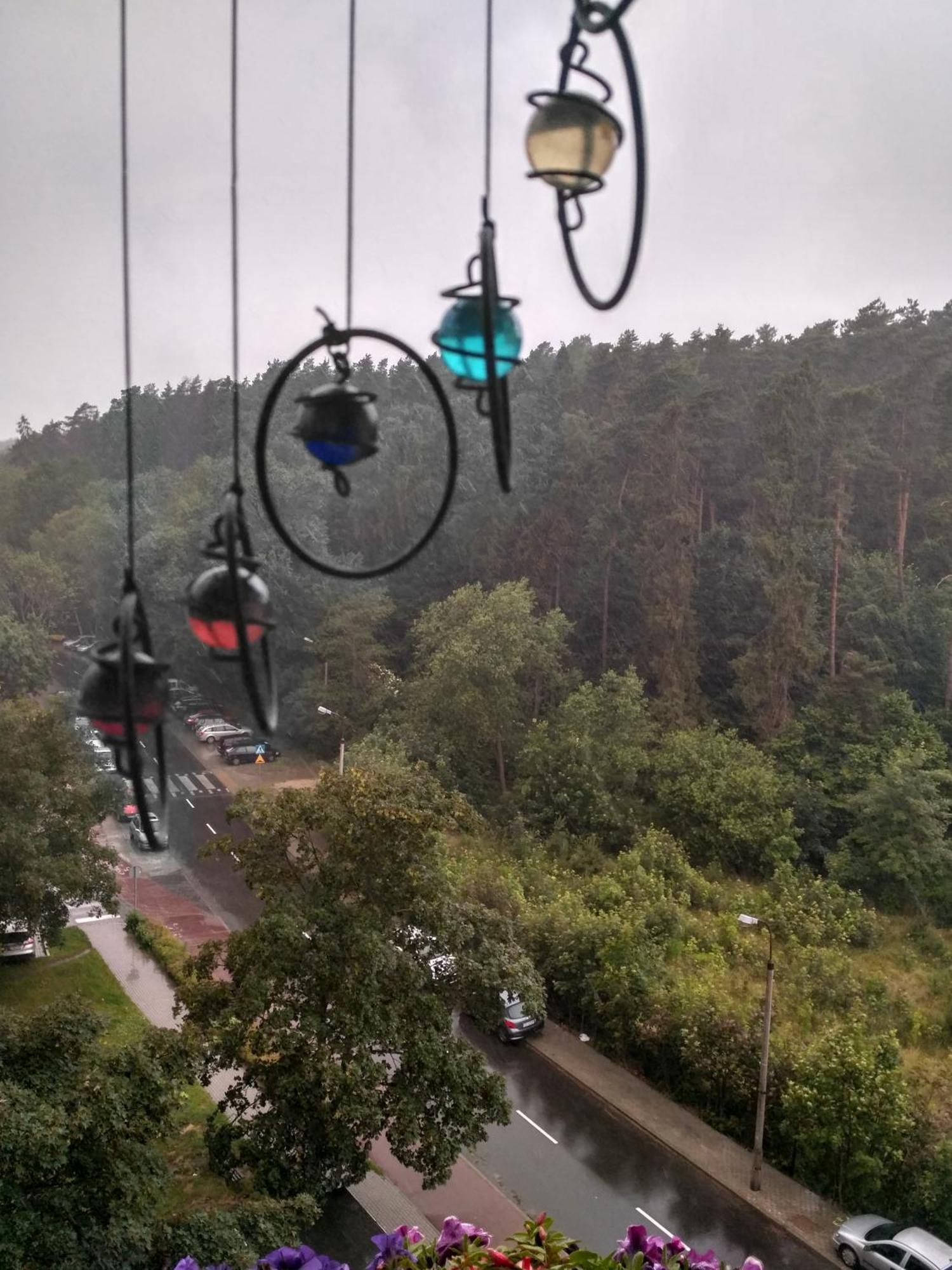 Apartament Z Widokiem Na Las * Sopot